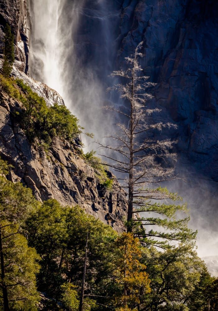YOSEMITE