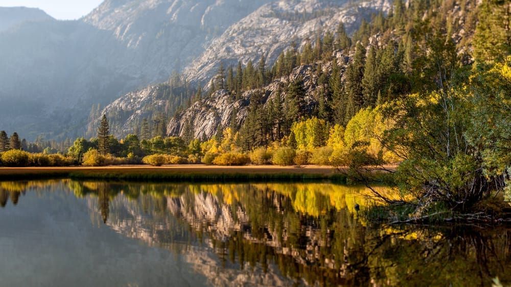Late Season Art | The Frame Gallery
