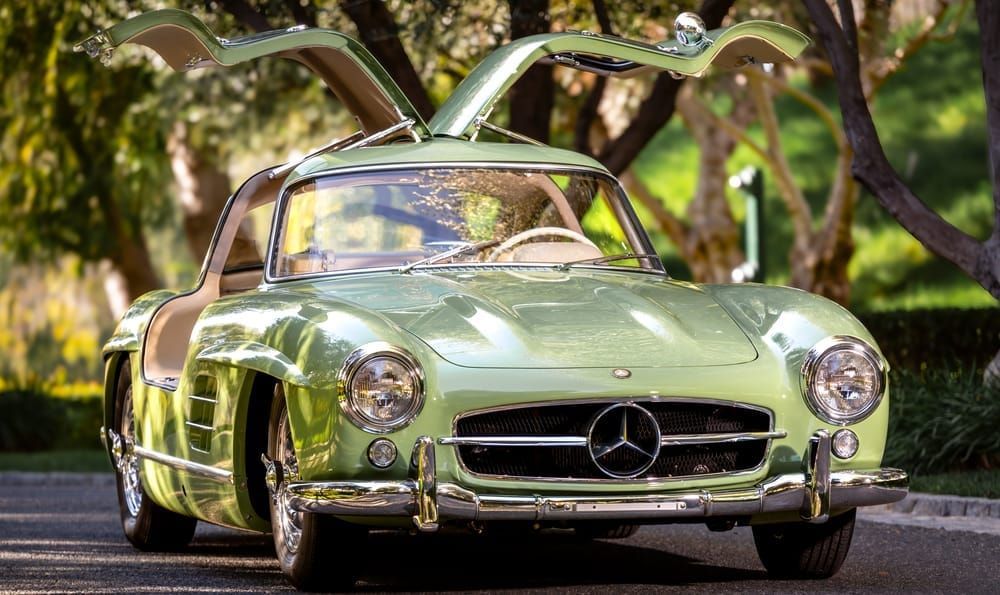 Gullwing Art | The Frame Gallery