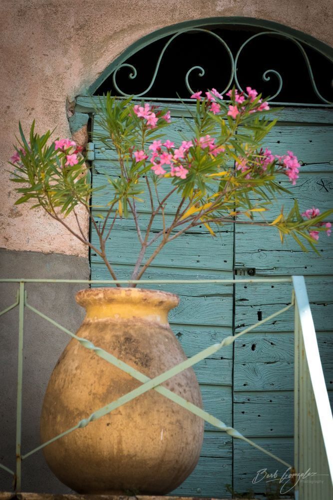 2018 Corsica2 1961 Photography Art | Barb Gonzalez Photography