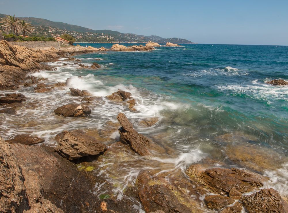 2018 Lalavandou 0211 Photography Art | Barb Gonzalez Photography