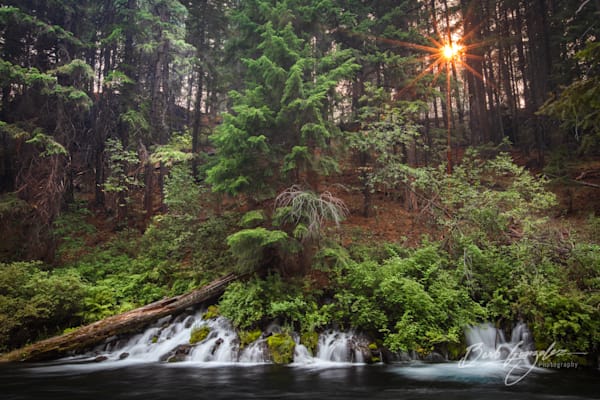 Fire sunburst over metolius springs photo for sale by Barb Gonzalez