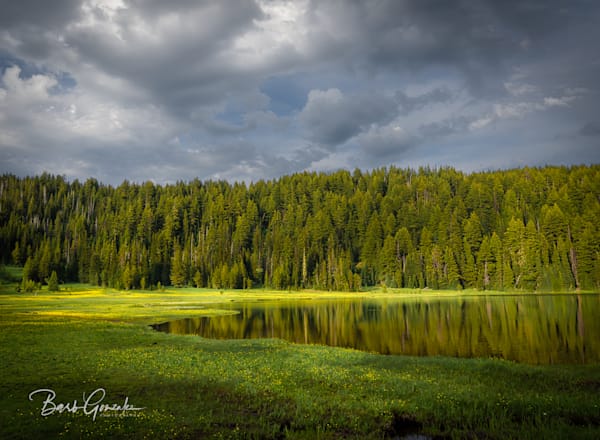 Todd Lake Yellow Flowers Dramatic Sky Photography Art | Barb Gonzalez Photography