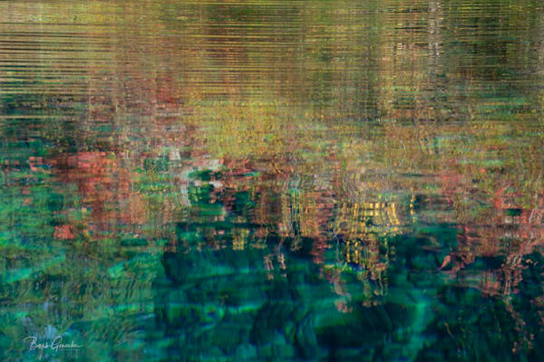Clear Lake Autumn Reflections Photography Art | Barb Gonzalez Photography