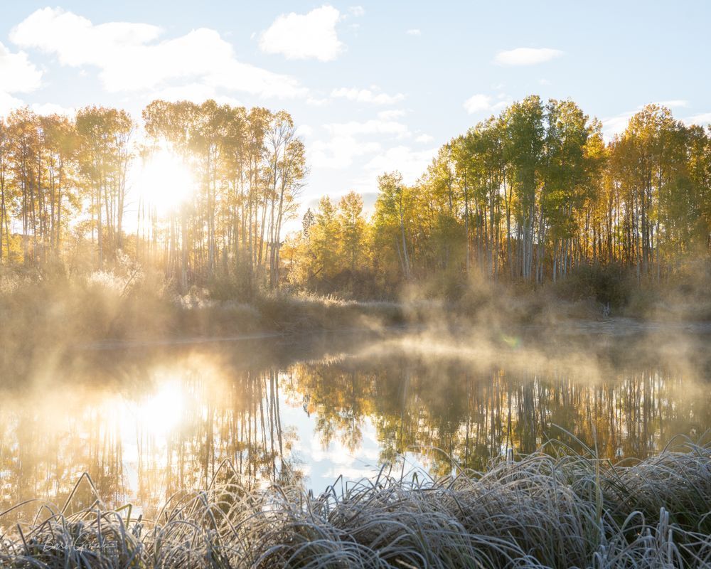 Foggy Dillon Fall Sunbeams Photography Art | Barb Gonzalez Photography