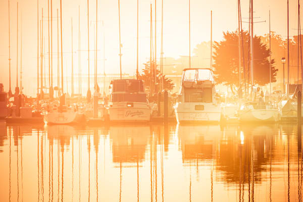 Goldenmasts Marina Sf Cr2 Photography Art | Barb Gonzalez Photography