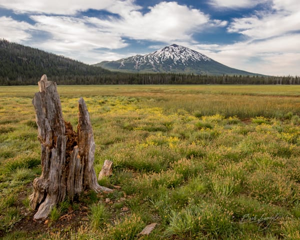 Sparks Meadow and Mt Bachelor Photo for sale | Barb Gonzalez Photography