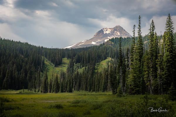 Mt Hood Meadows With Mt Hood Peaking Photography Art | Barb Gonzalez Photography