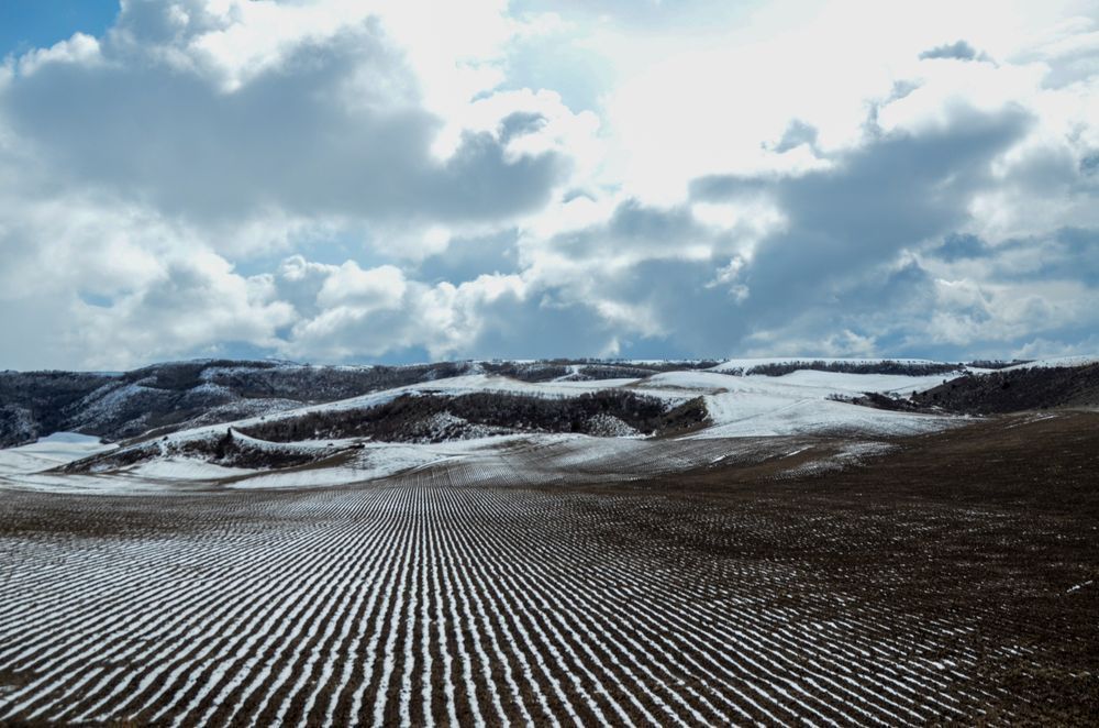 Snowy Tilled Field Photography Art | Barb Gonzalez Photography