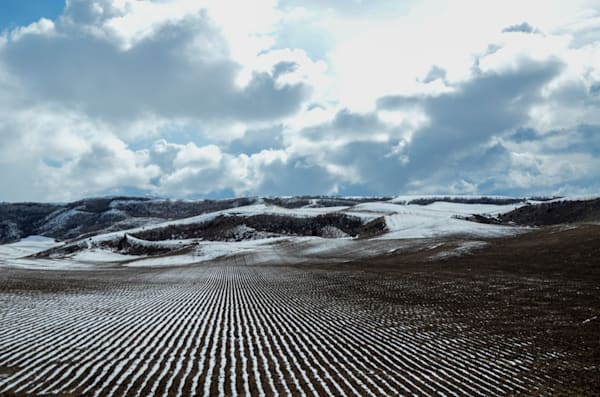 Snowy Tilled Field Photography Art | Barb Gonzalez Photography