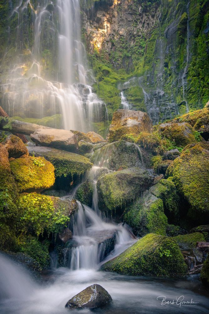 Proxy Falls Golden Color Photography Art | Barb Gonzalez Photography