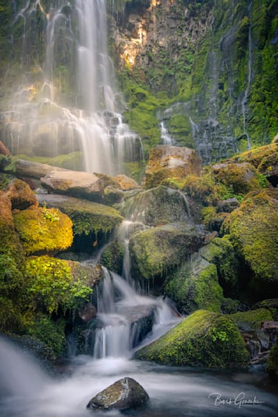 Proxy Falls Golden Color Photography Art | Barb Gonzalez Photography
