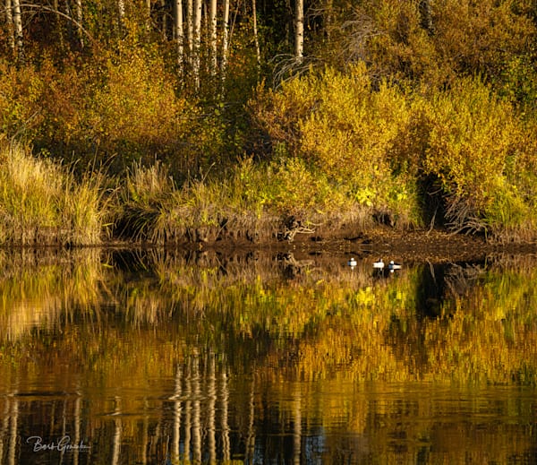 Fall Reflections Deshutes With Ducks Photography Art | Barb Gonzalez Photography