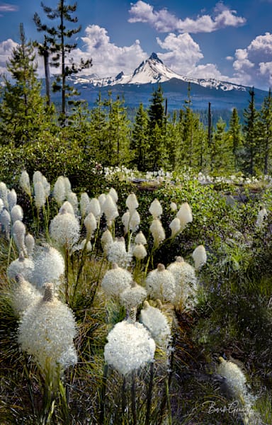 Beargrassmtwashcolor Photography Art | Barb Gonzalez Photography