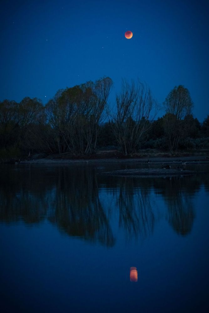 Blood moon eclipse reflected in pond photo by Barb Gonzalez Photography