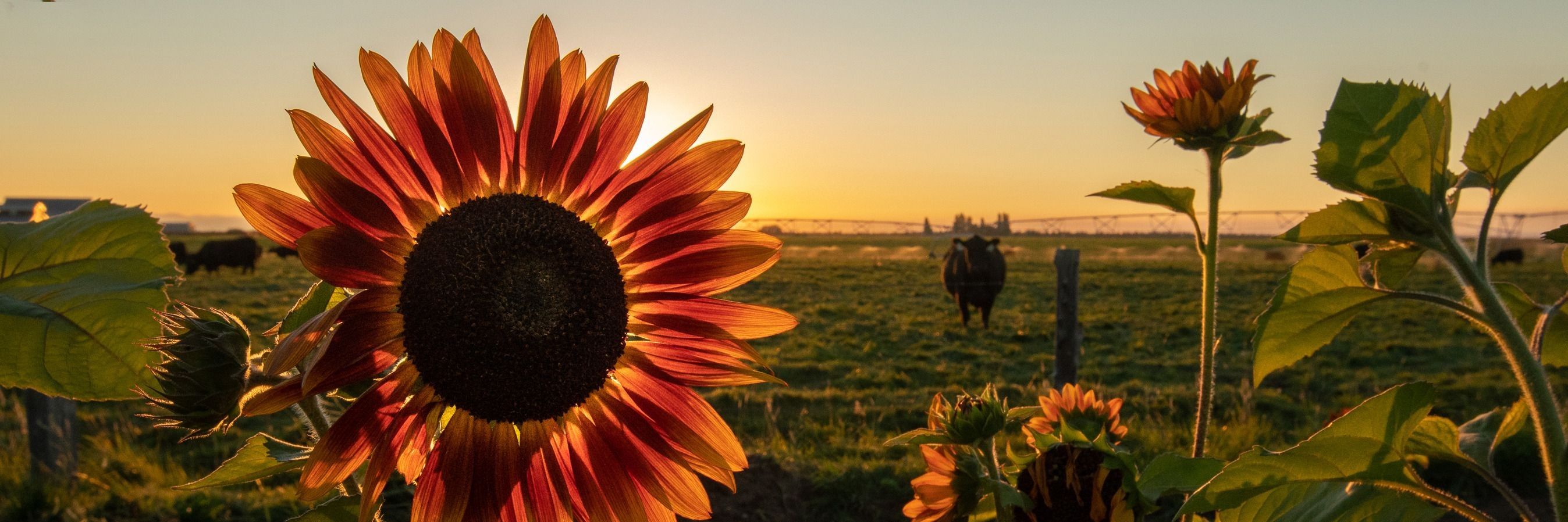 
        <div class='title'>
          billboardpics2022 1 2
        </div>
       