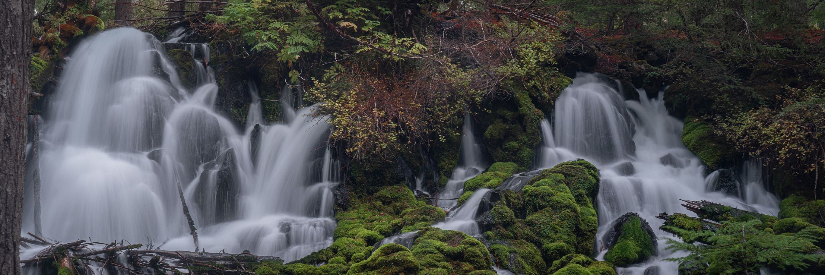 
        <div class='title'>
          billboardpics2022 8
        </div>
       