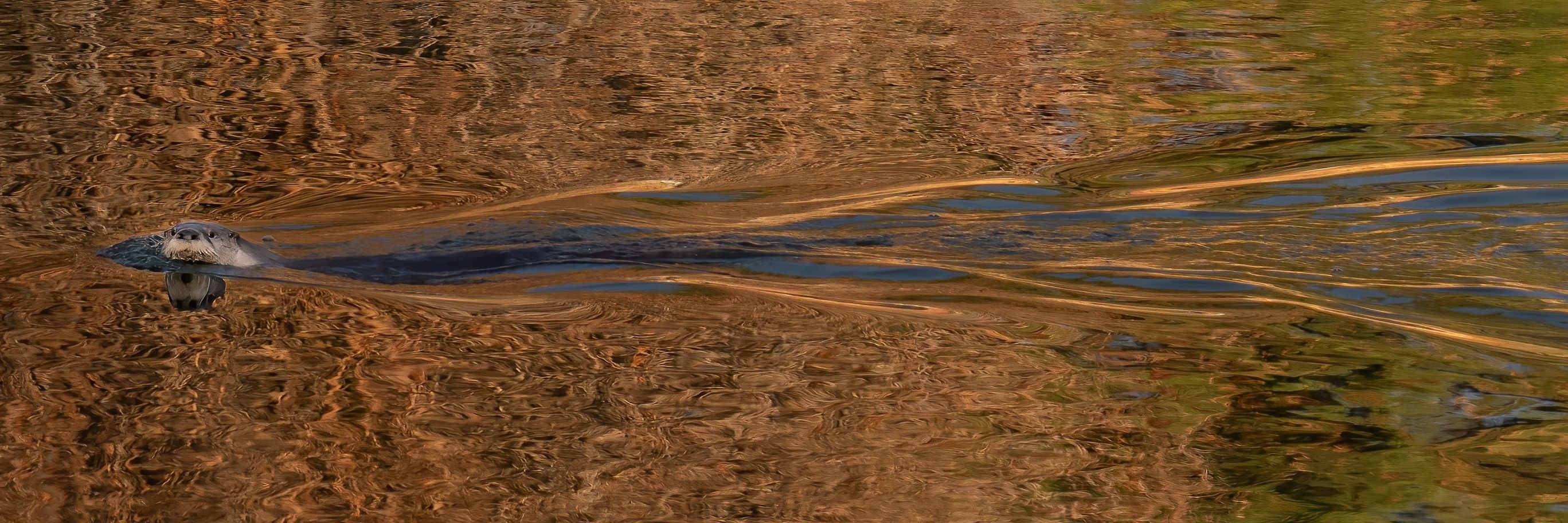 
        <div class='title'>
          billboardpics2022 7
        </div>
       