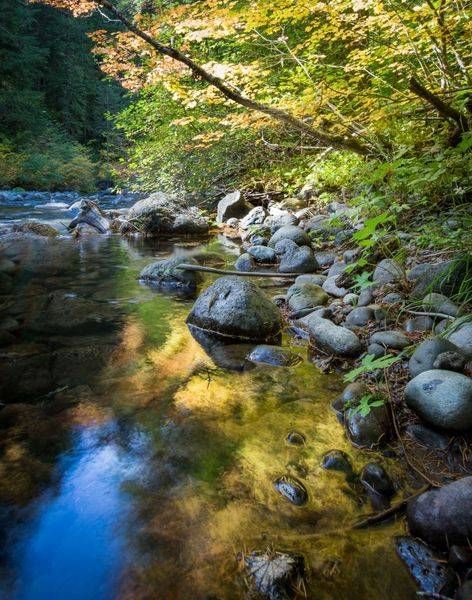 Autumn Reflections on Mackenzie River photo for sale |Barb Gonzalez Photography