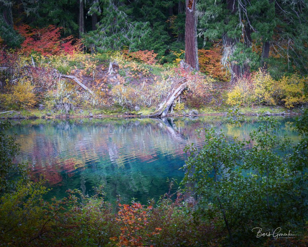 Aquaclearlakecolors Photography Art | Barb Gonzalez Photography