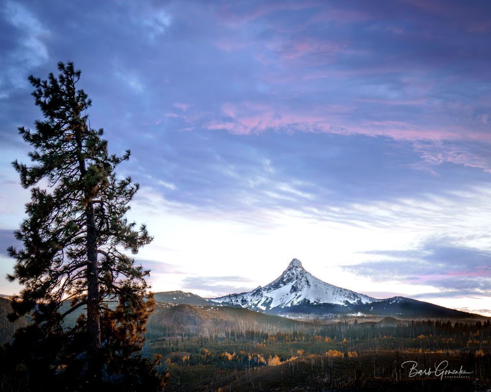 Fall2025prints 7 Photography Art | Barb Gonzalez Photography