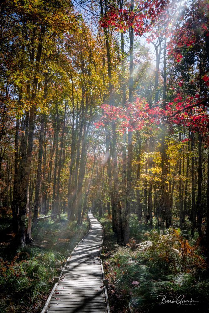 Fall2025prints2  4 Photography Art | Barb Gonzalez Photography