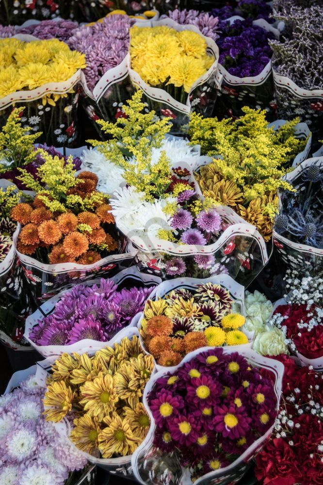 Flower Market Photography Art | Barb Gonzalez Photography