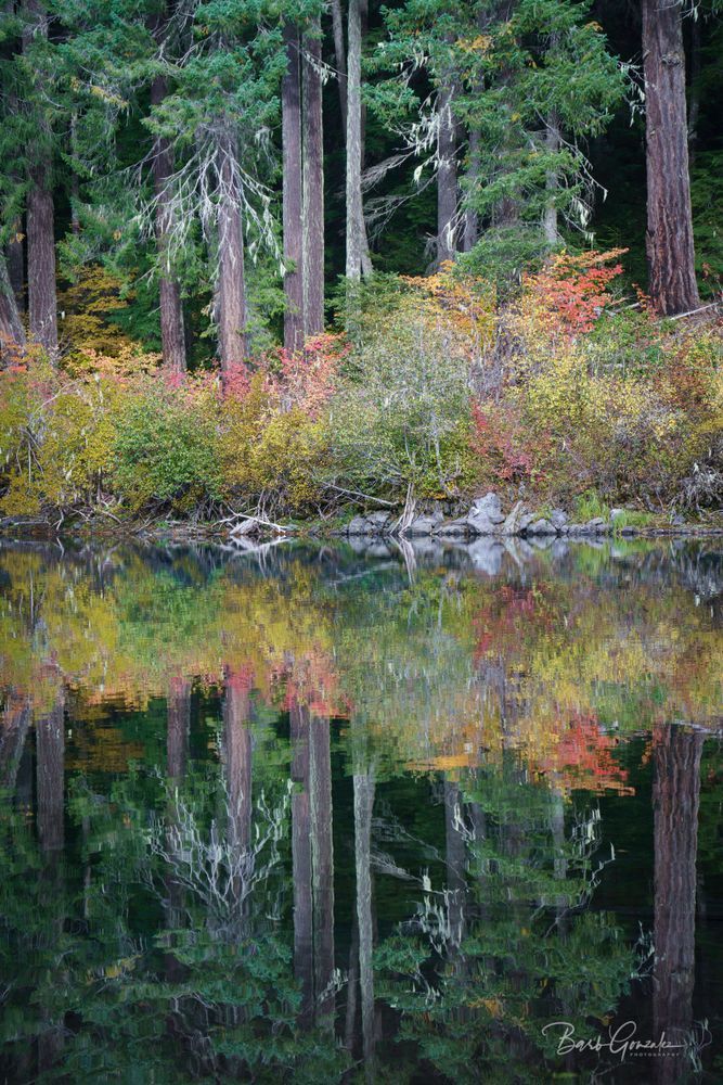 Greenclearlakecolors Photography Art | Barb Gonzalez Photography