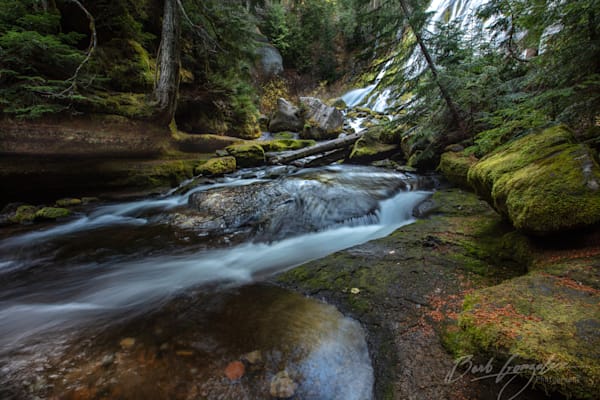 Mossy Banks of Diamond Creek photo for sale by Barb Gonzalez Photography