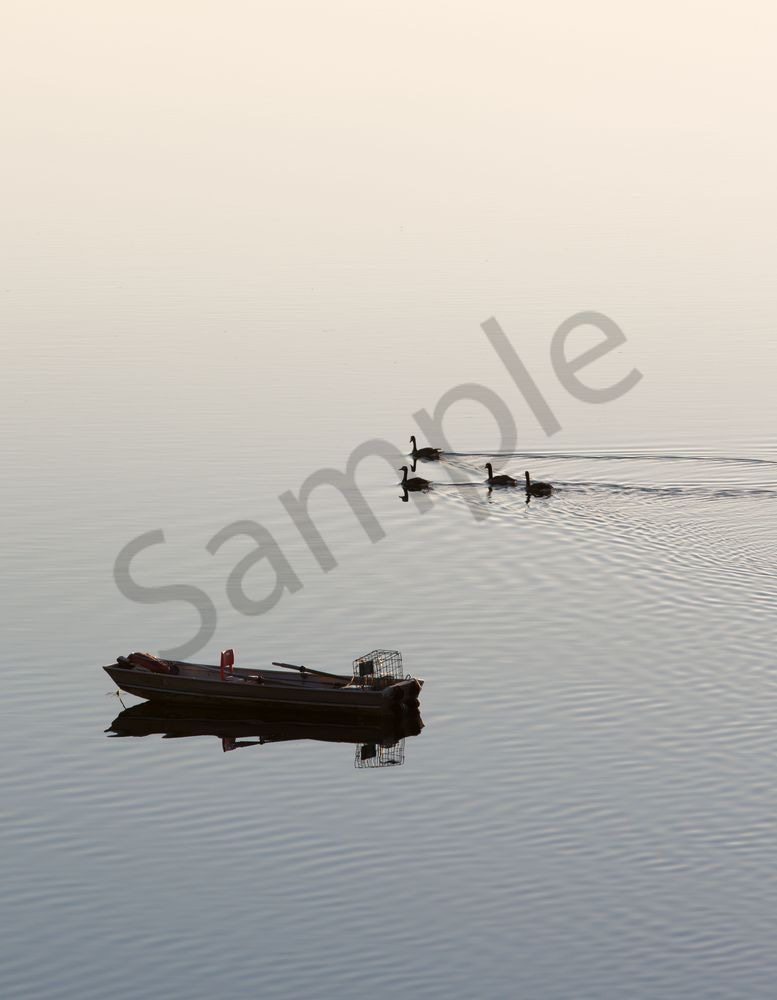 Early Morning Boat Geese Photography Art | Barb Gonzalez Photography