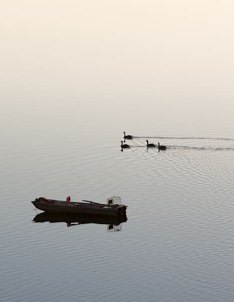 Early Morning Boat Geese Photography Art | Barb Gonzalez Photography