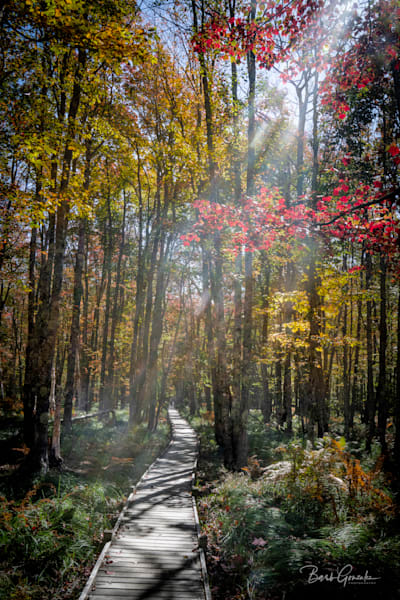 Jesuppatharcadia Photography Art | Barb Gonzalez Photography