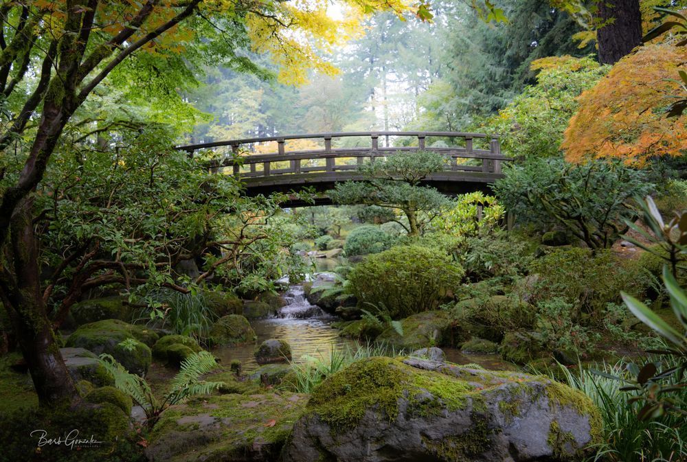 Japanesegardenbridge Photography Art | Barb Gonzalez Photography