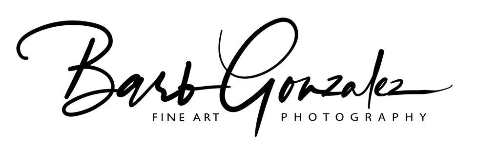 barb gonzalez photography