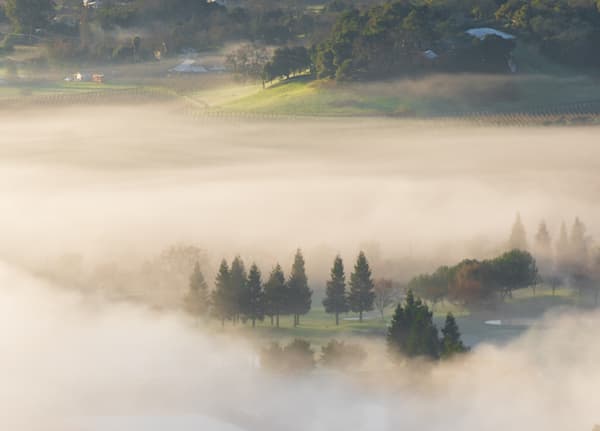 Napa Valley Fog From Above Photography Art | Barb Gonzalez Photography