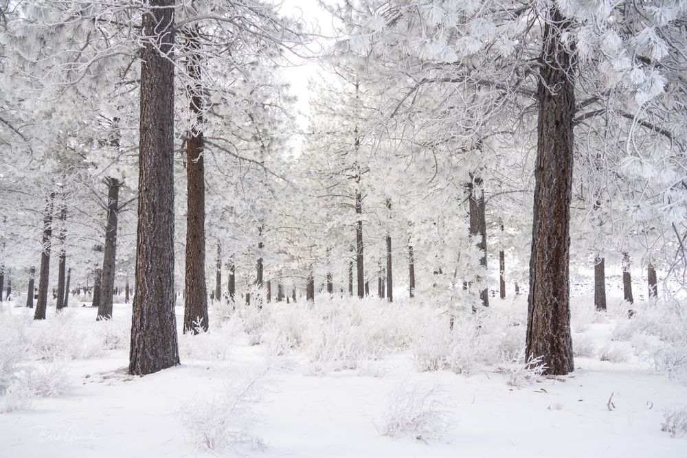 Lavabuttefreeezingfog 2 Photography Art | Barb Gonzalez Photography