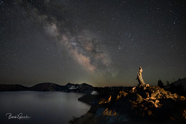 Lit Tree Crater Lake Photography Art | Barb Gonzalez Photography