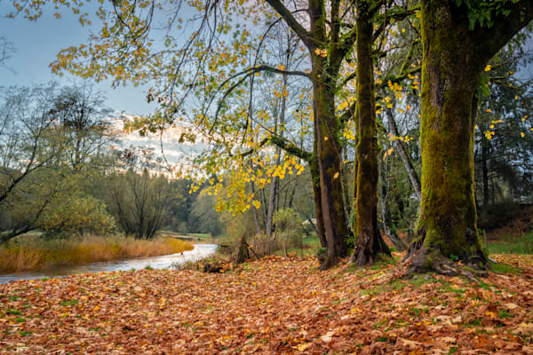 Autumn River Sunset Photography Art | Barb Gonzalez Photography