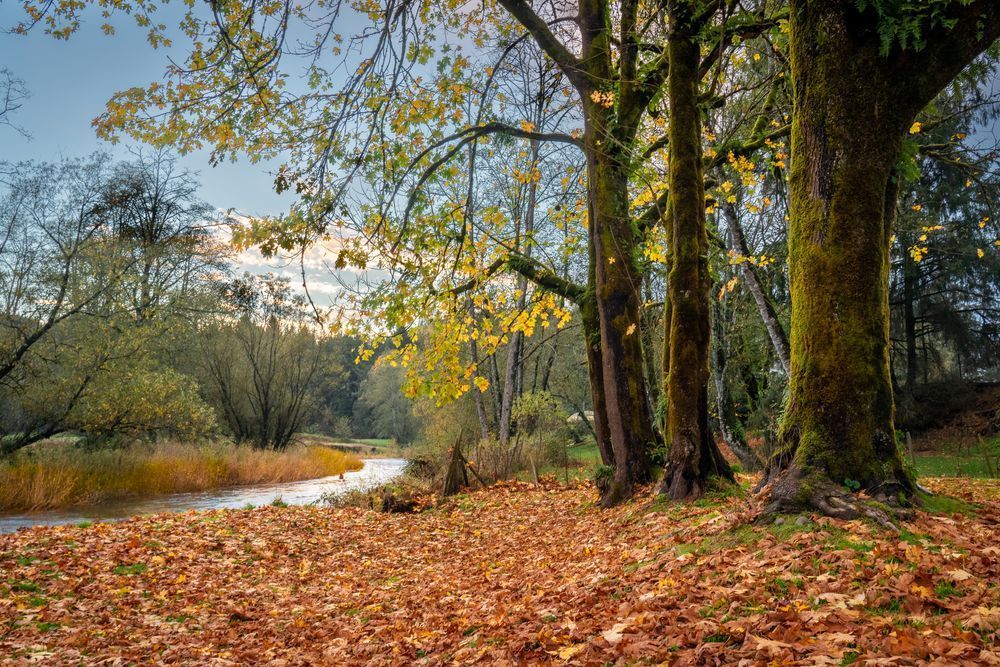 Autumn River Sunset Photography Art | Barb Gonzalez Photography