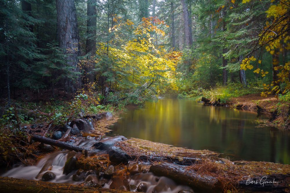Reflectingcreekautumn Photography Art | Barb Gonzalez Photography