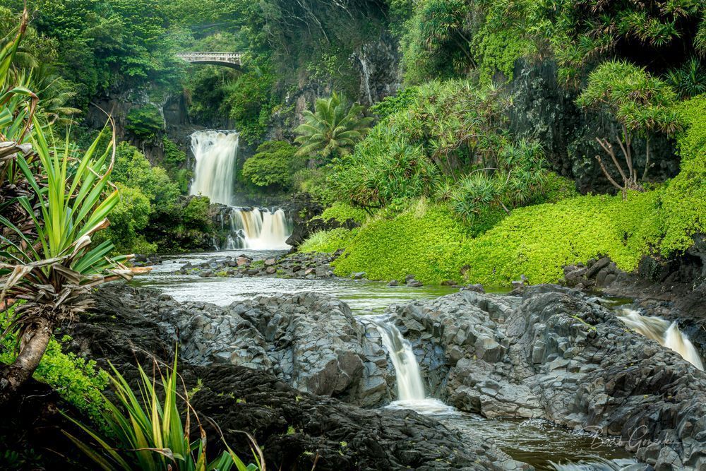 Lush seven sacred pools photo for sale by Barb Gonzalez Photography