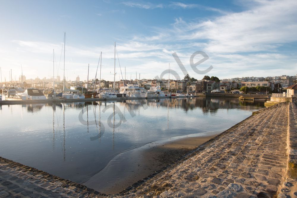 +San Francisco Marina Photography Art | Barb Gonzalez Photography