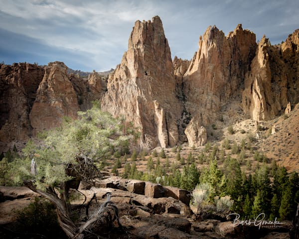 Smithrockjuniper Photography Art | Barb Gonzalez Photography