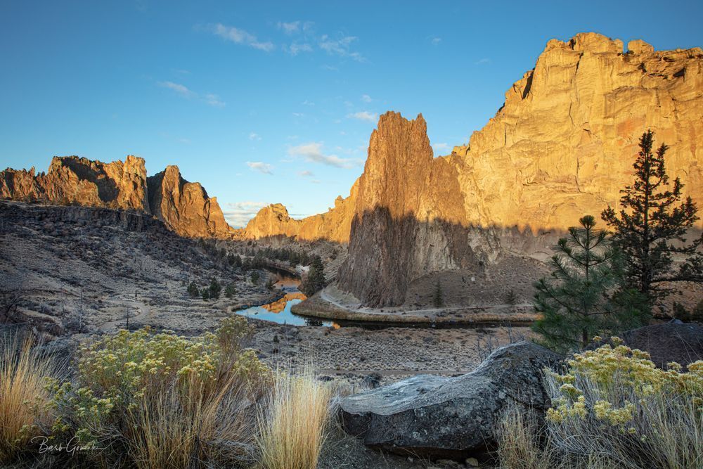 Smithrockmorningrabbitbrush Photography Art | Barb Gonzalez Photography