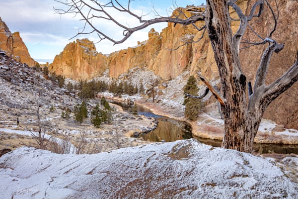 Smith Rock Tree Snow Photography Art | Barb Gonzalez Photography