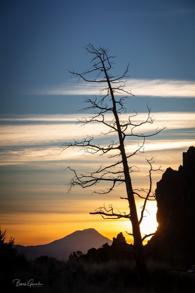Smithrocktreesunset Photography Art | Barb Gonzalez Photography
