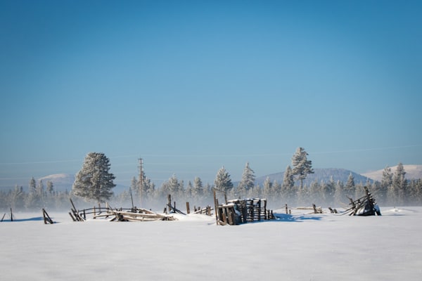Snowy Dilapidated Barn Photography Art | Barb Gonzalez Photography