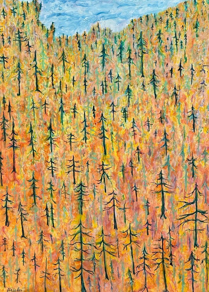 A View From High Above Art | Tom Hessler Gallery