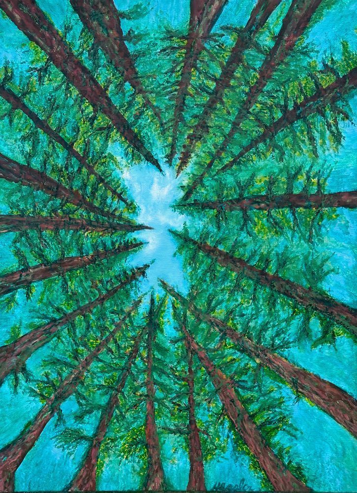 Lie Down In The Redwoods Art | Tom Hessler Gallery