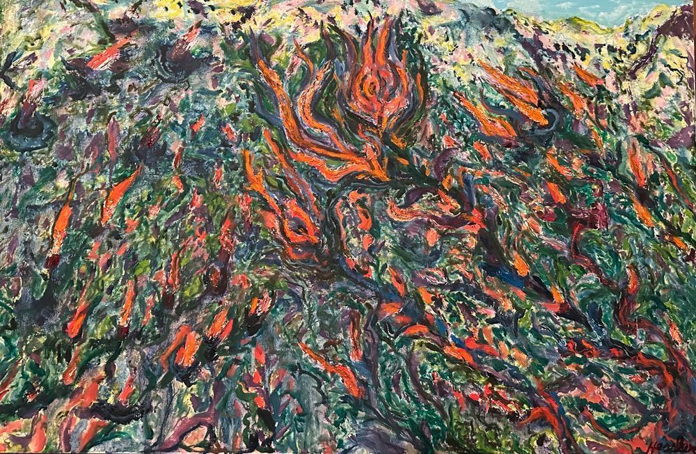 Nature's Colorful Chaos Art | Tom Hessler Gallery
